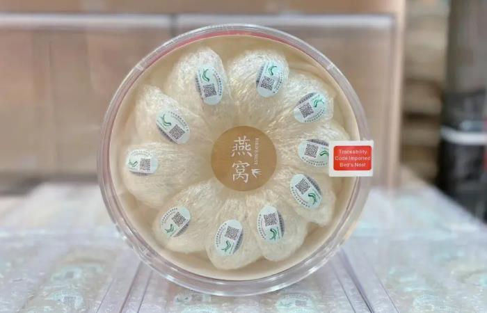 宛城燕窝回收
